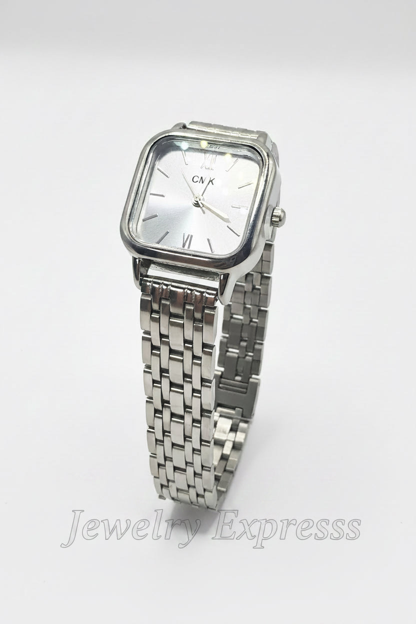 Elegant stainless steel women’s watch